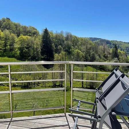 Apartment Le Nid De Mimi - Gite Avec Vue A La Bresse - Sauna Et Balneo *