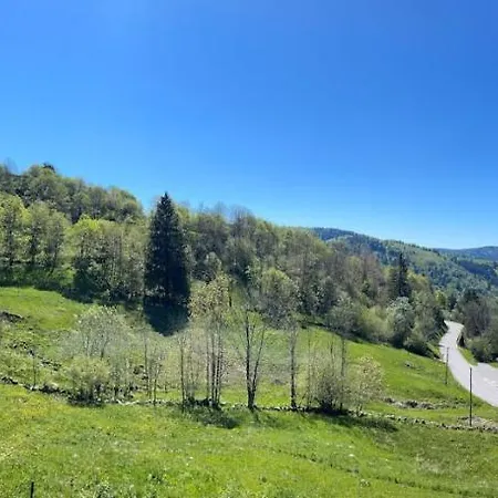 Le Nid De Mimi - Gite Avec Vue A La Bresse - Sauna Et Balneo Apartment *