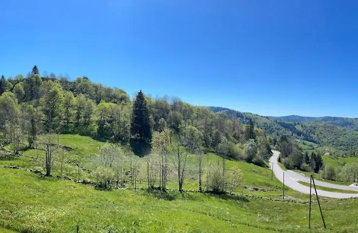 Le Nid De Mimi - Gite Avec Vue A La Bresse - Sauna Et Balneo Apartment *